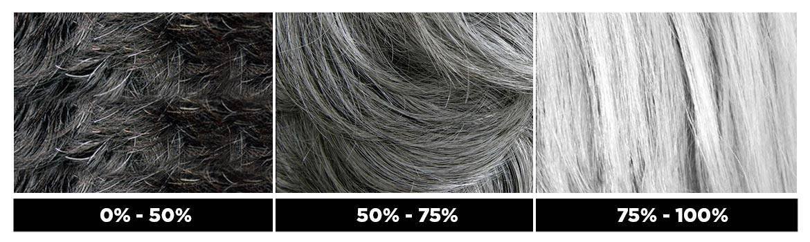 TINTE CABELLO NEGRO PORCENTAJE CANAS